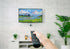 TV Download - "Palm Tree Island" by Elizabeth Sheats
