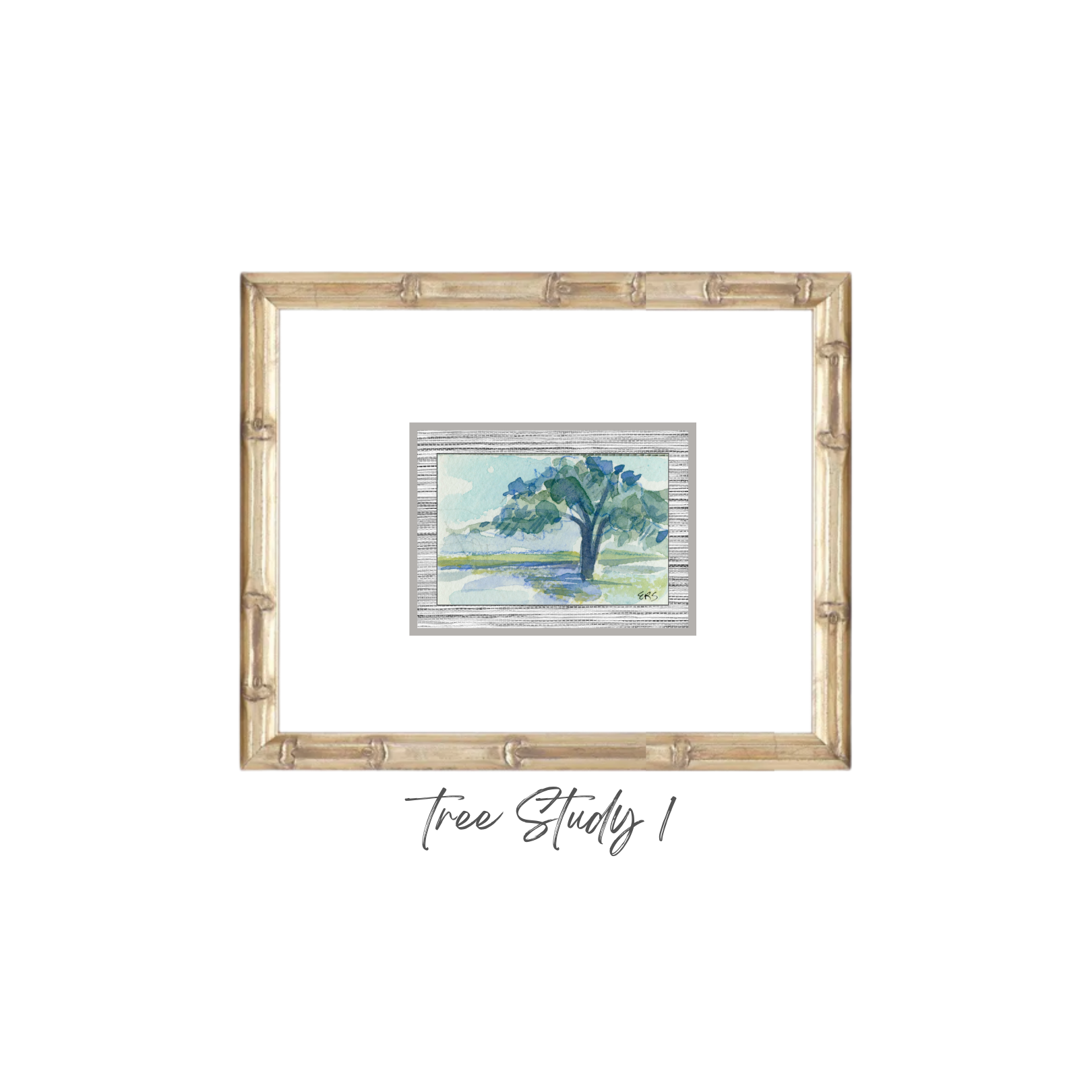 Elizabeth Sheats Original Framed Painting of her Tree Study Collection, Tree Study 1
