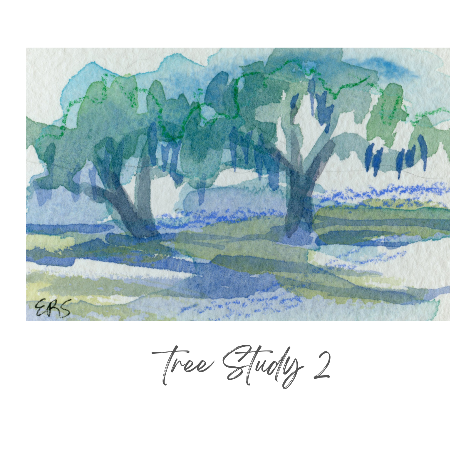 Elizabeth Sheats Original Painting of her Tree Study Collection, Tree Study 2