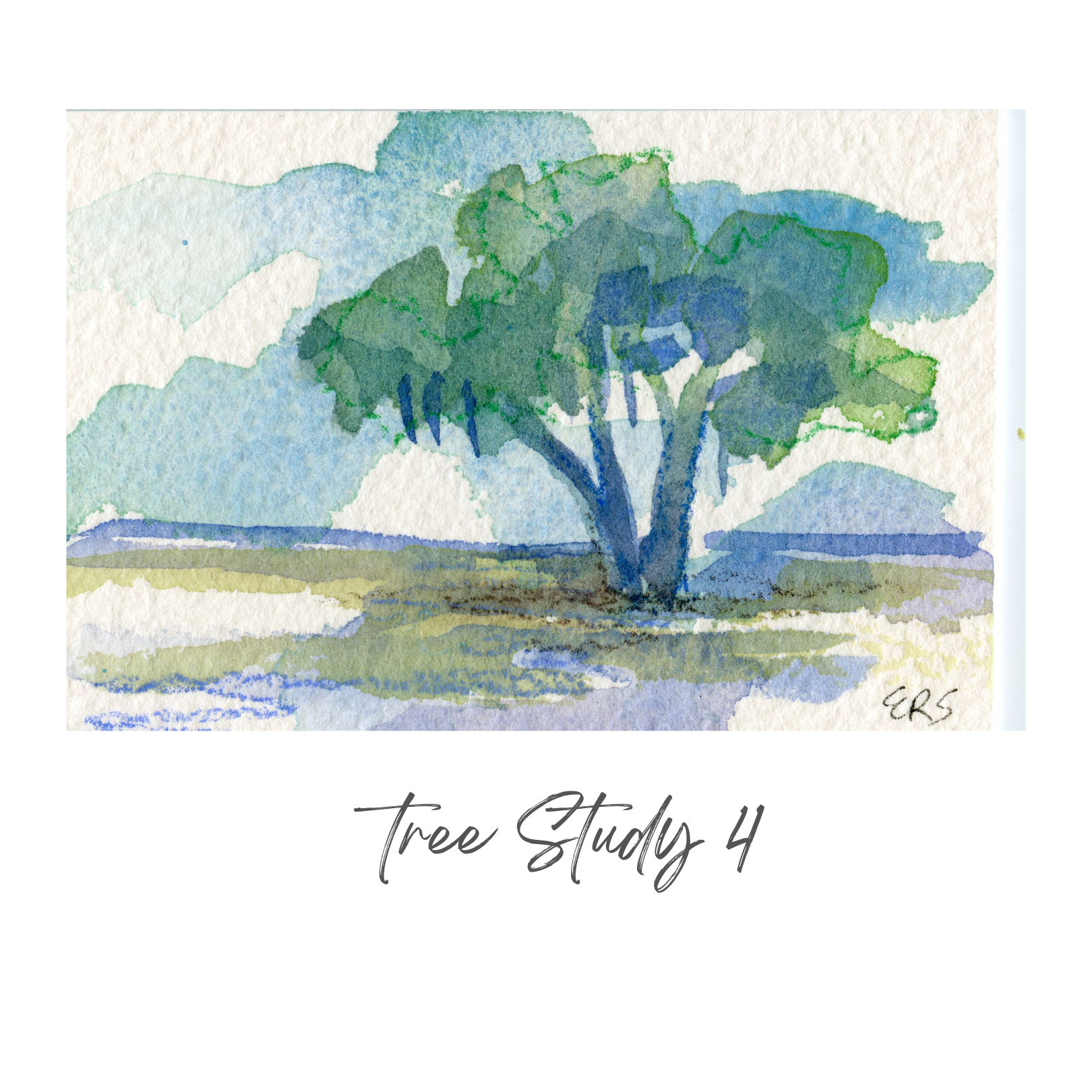 Elizabeth Sheats Original Painting of her Tree Study Collection, Tree Study 4