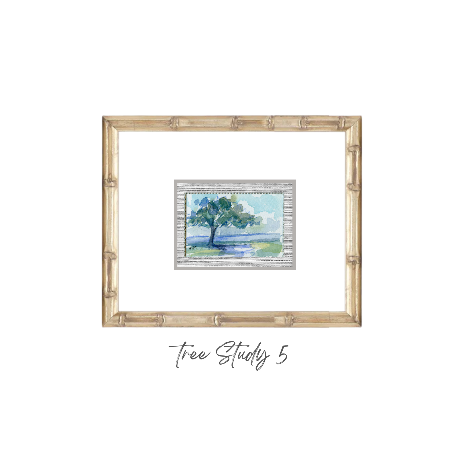 Elizabeth Sheats Original Framed Painting of her Tree Study Collection, Tree Study 5