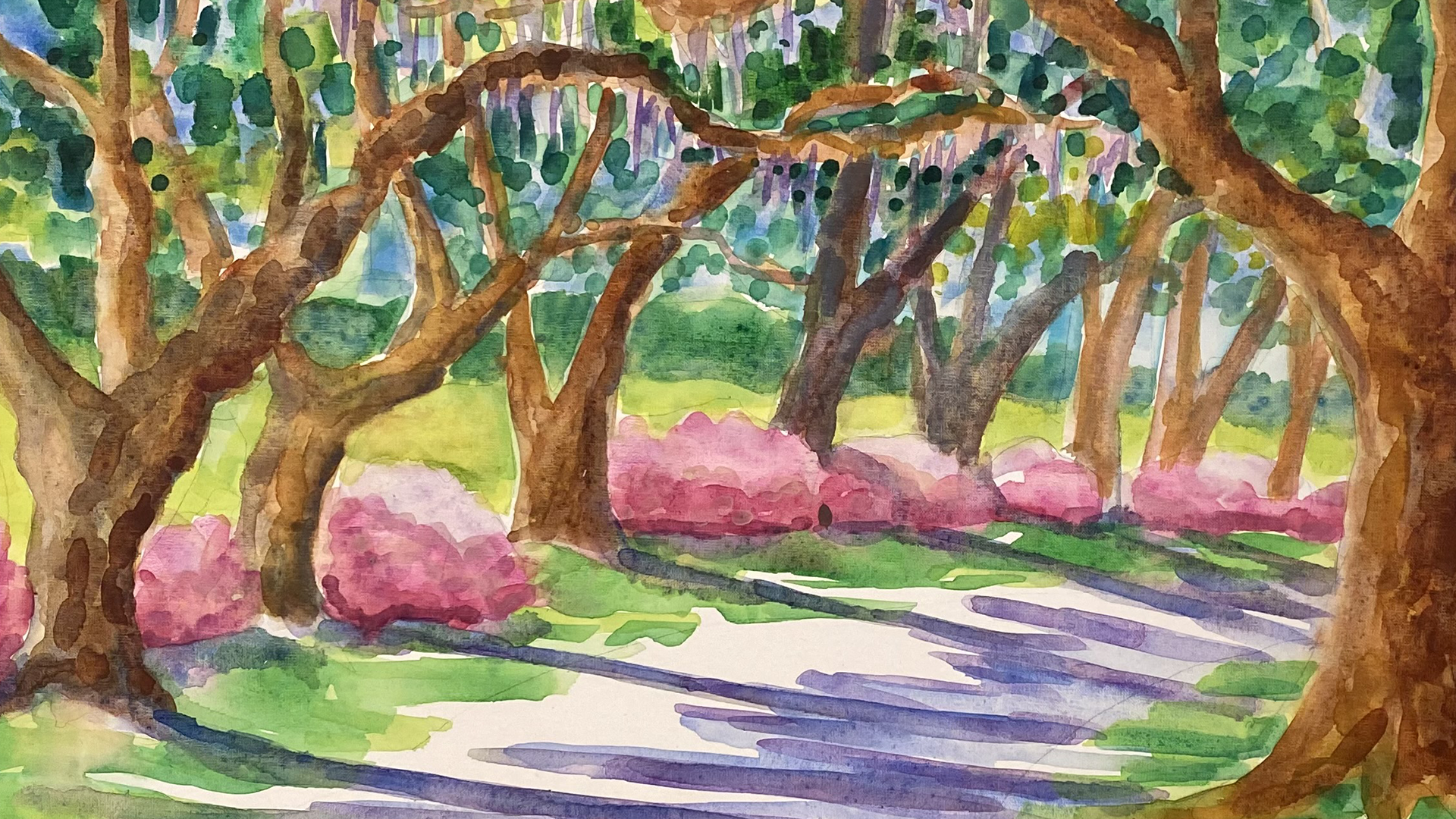 TV Download - Azaleas Along the Oak Alley