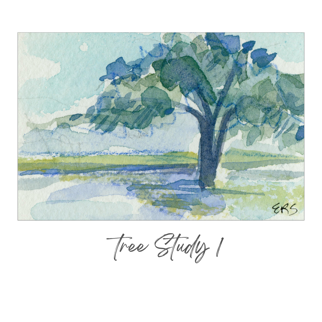 Elizabeth Sheats Original Painting of her Tree Study Collection, Tree Study 1