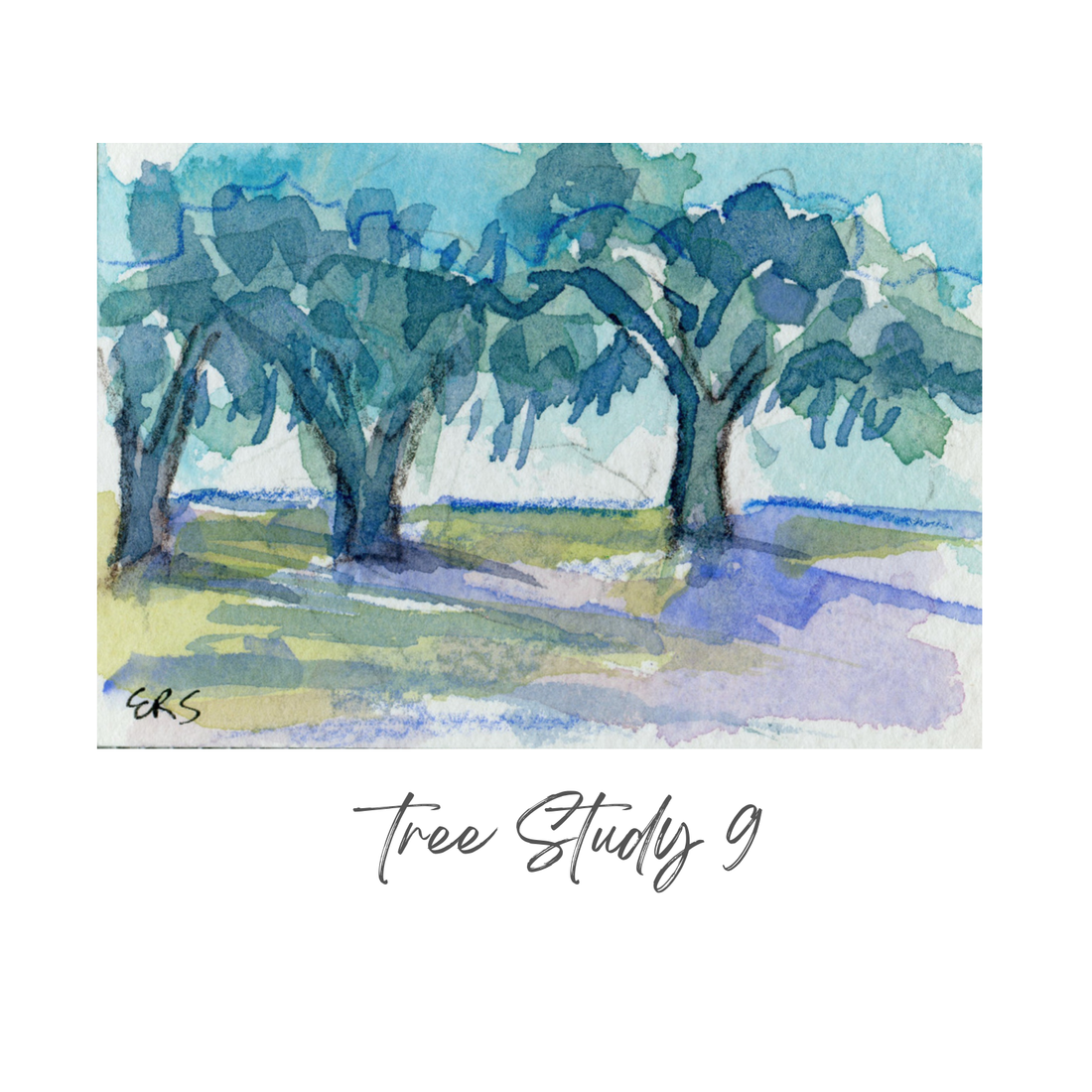 Elizabeth Sheats Original Painting of her Tree Study Collection, Tree Study 4