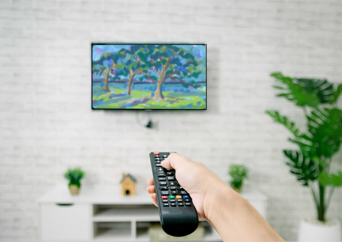 TV Download - Southern Banks