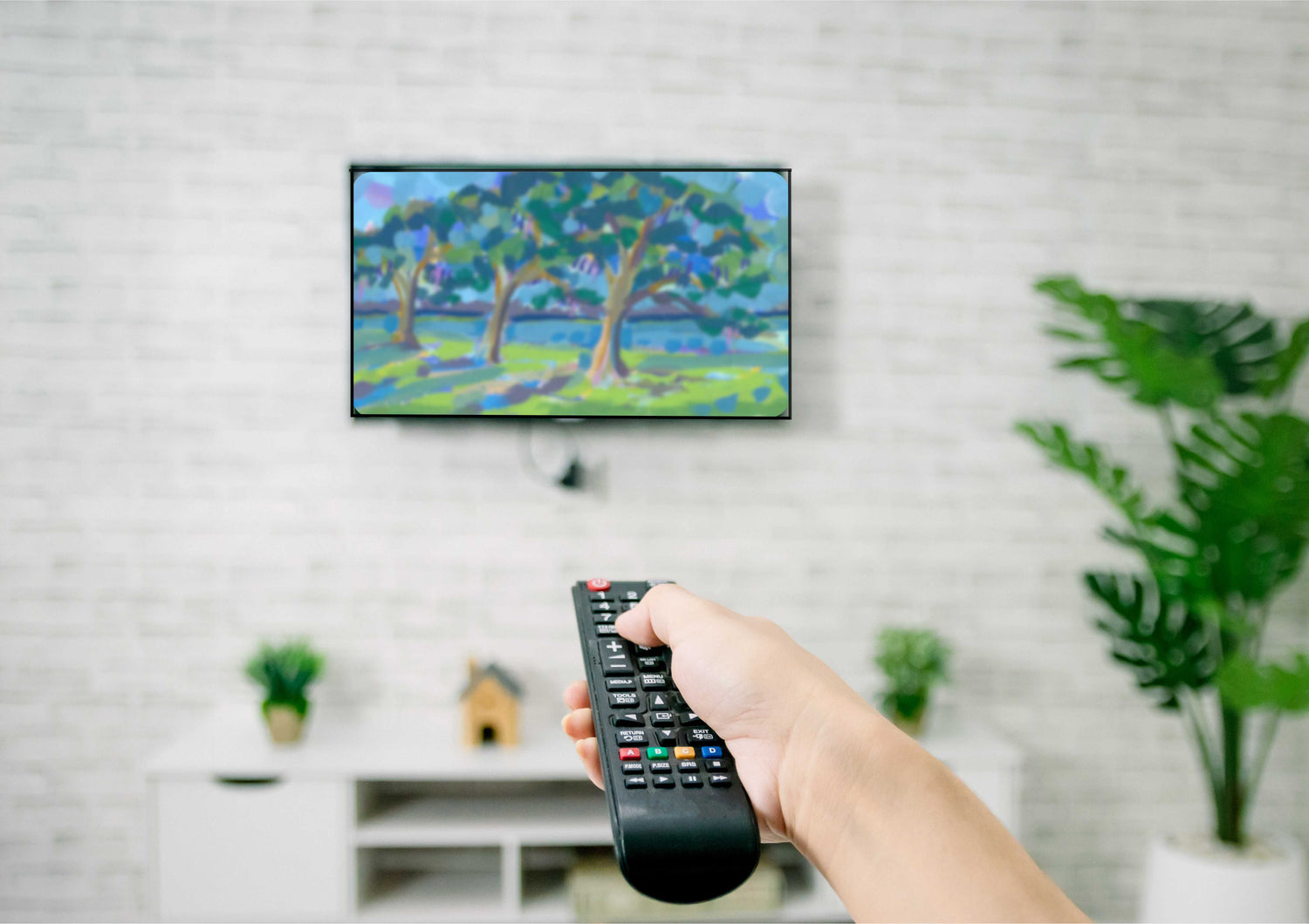 TV Download - Southern Banks