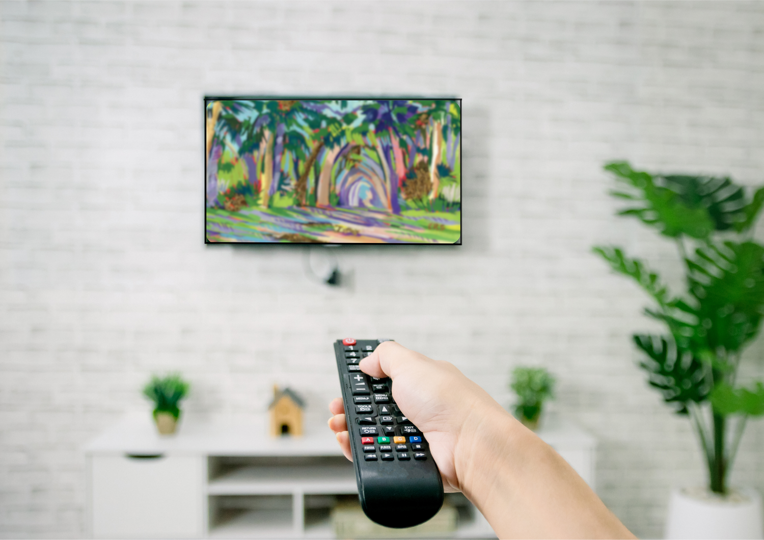 TV Download - The Palmetto Canopy