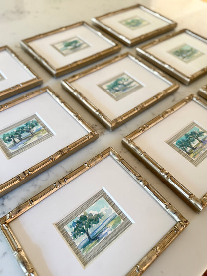 All 9 Tree Study Paintings by Elizabeth Sheats Framed