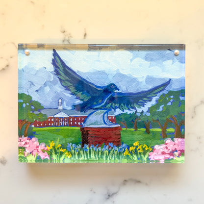 UNCW Seahawk Gift Wilmington NC by Elizabeth Sheats