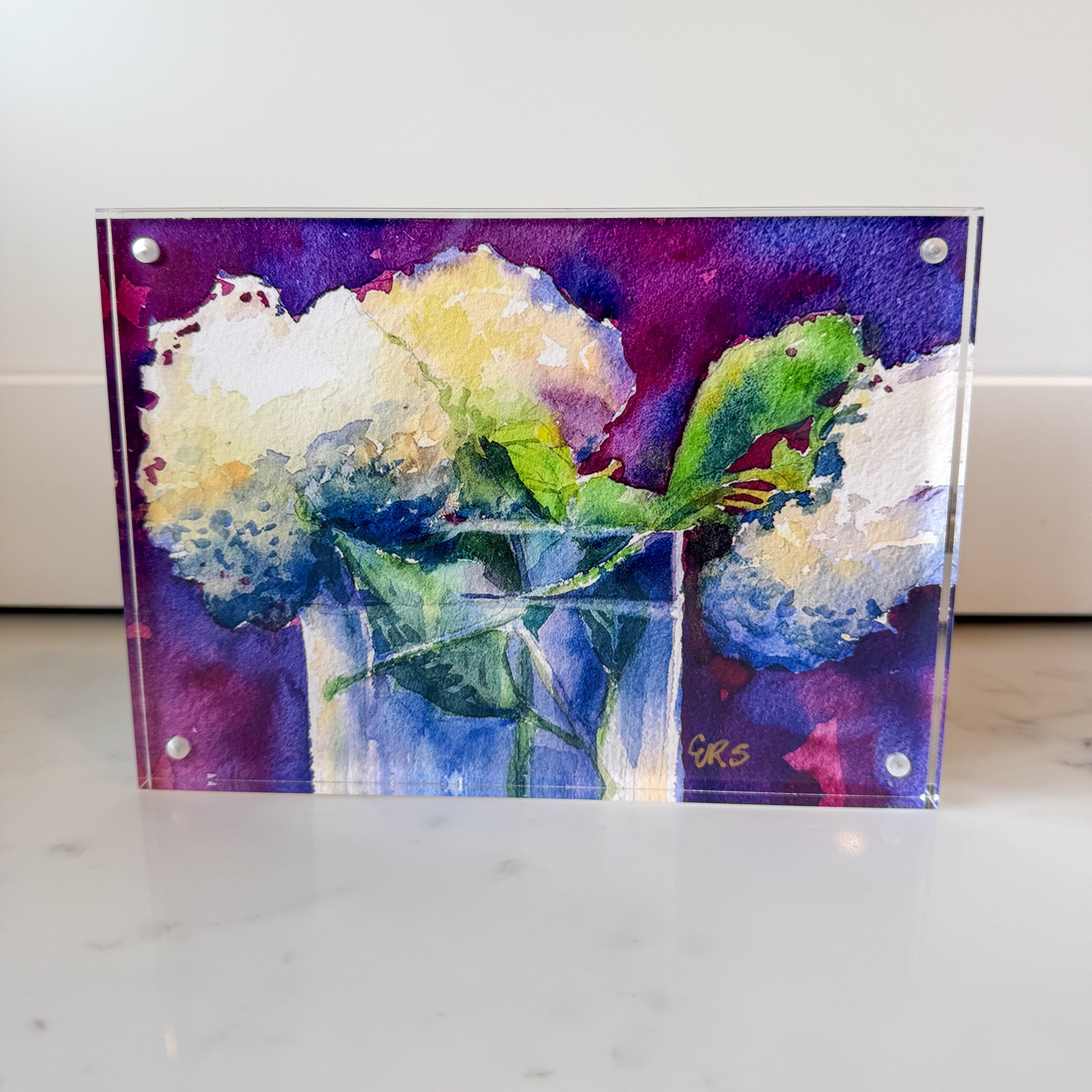 White Hydrangeas Acrylic Framed Art