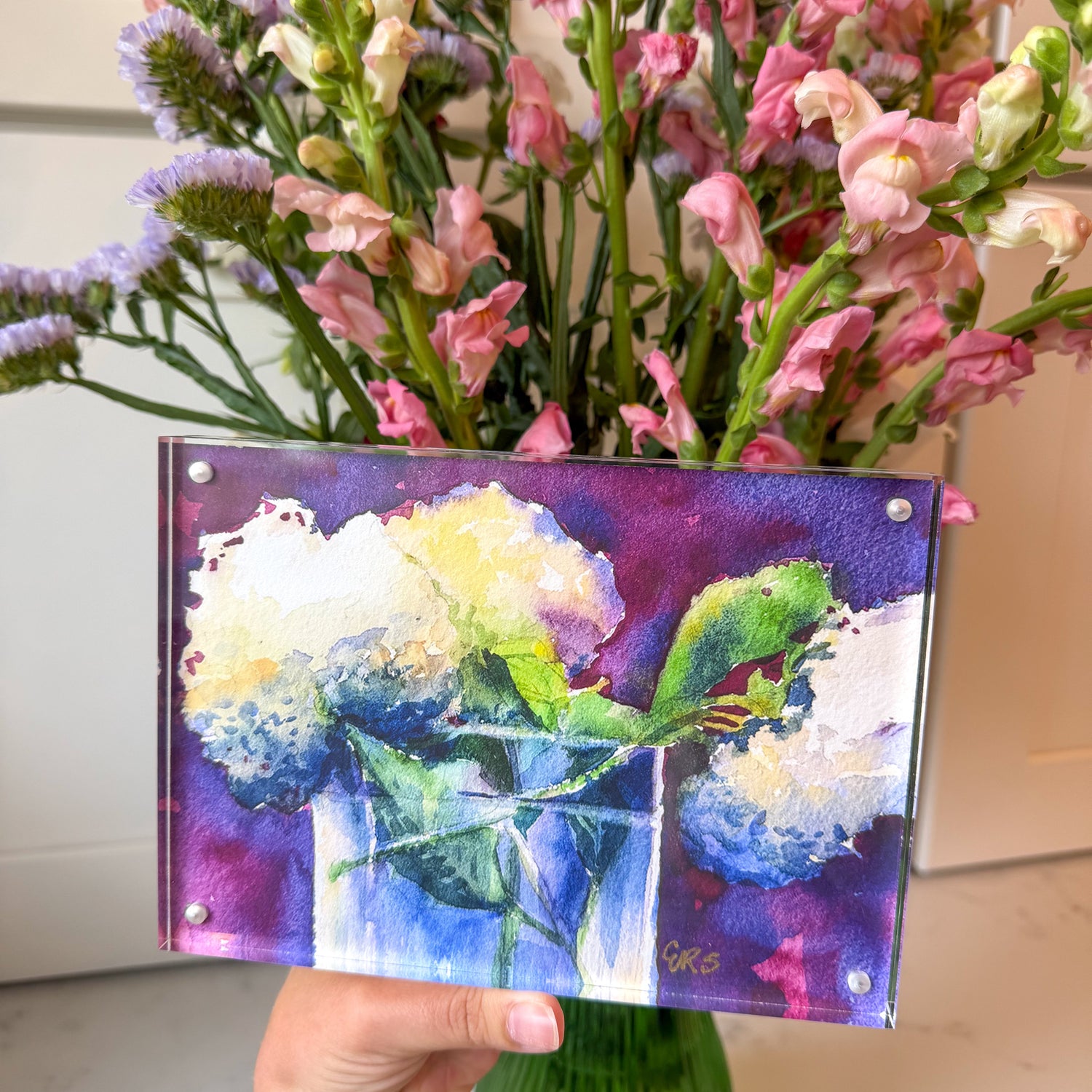 White Hydrangeas Acrylic Framed Art