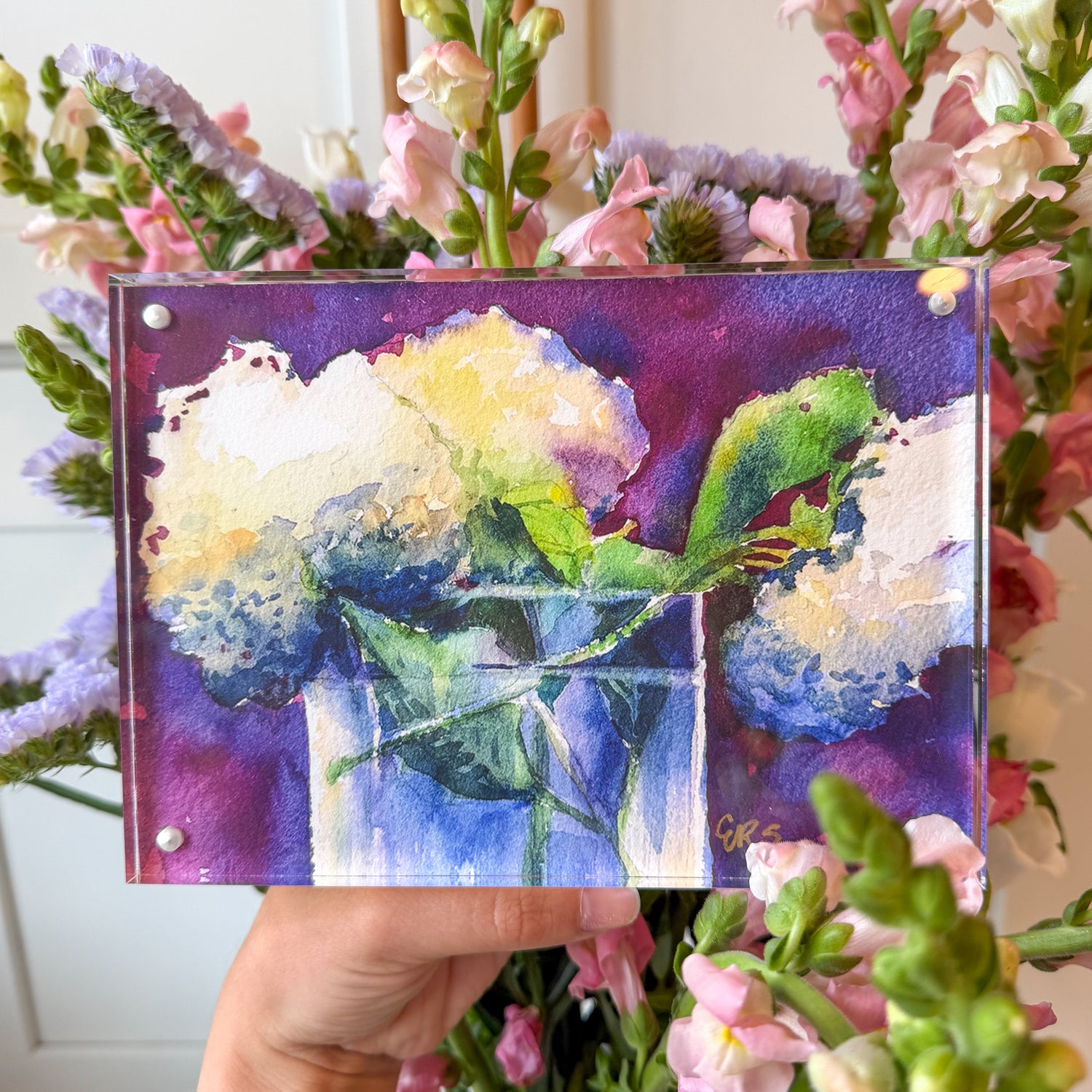 White Hydrangeas Acrylic Framed Art
