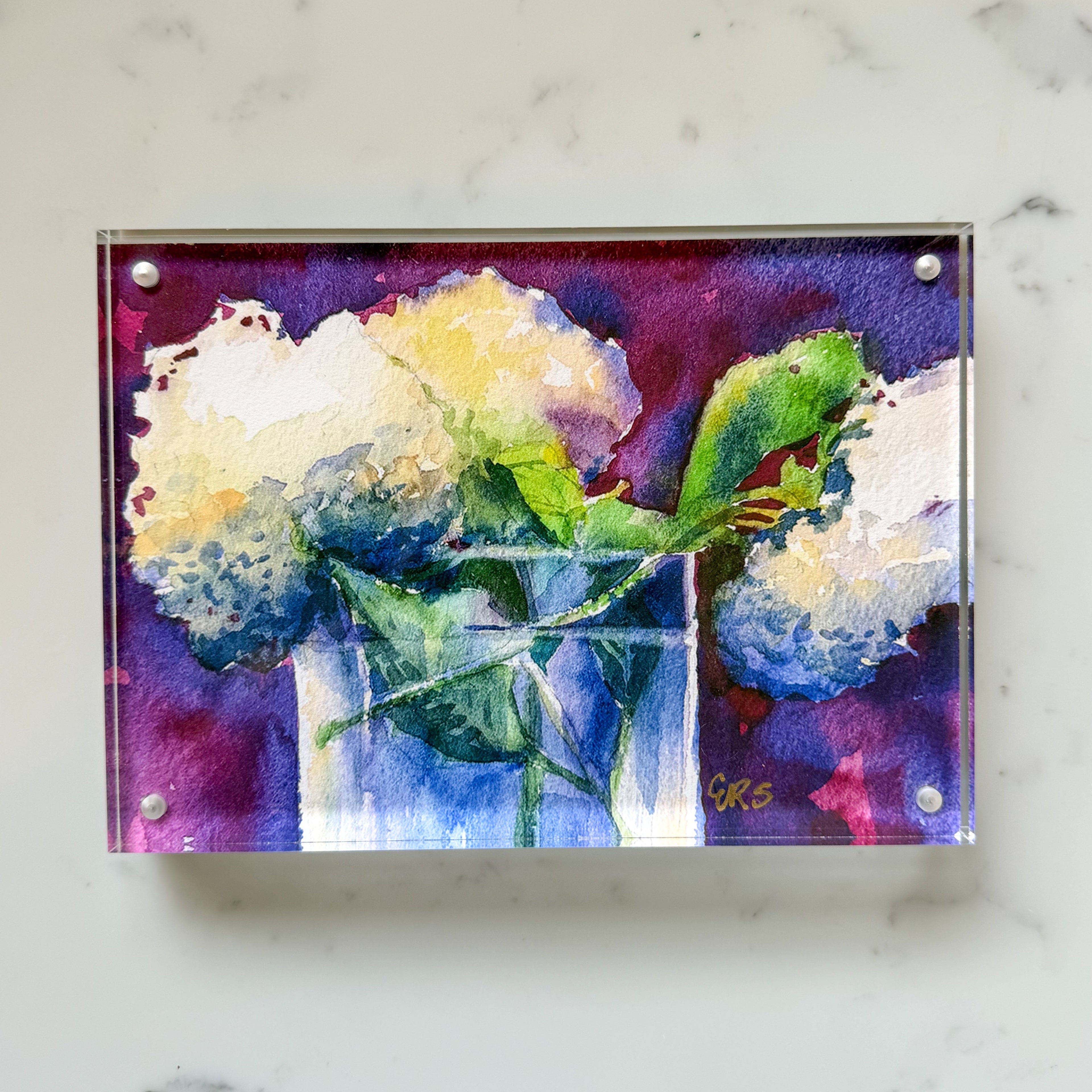 White Hydrangeas Acrylic Framed Art