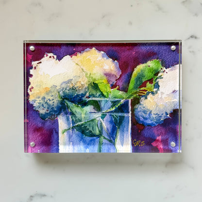 White Hydrangeas Acrylic Framed Art
