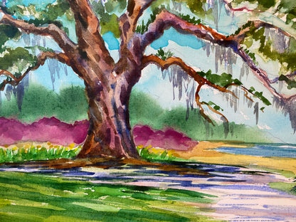 Airlie Oak with Azaleas