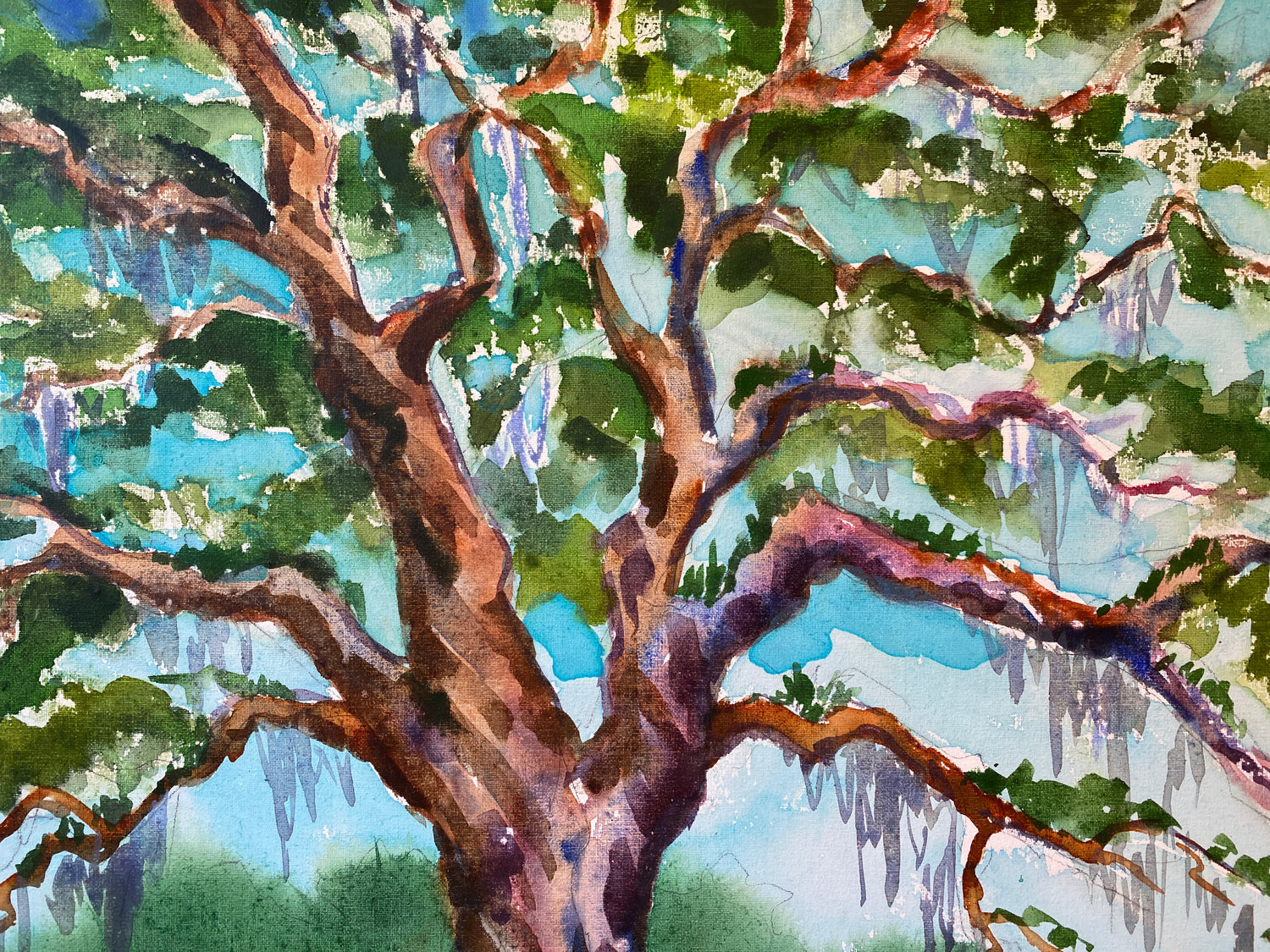 Airlie Oak with Azaleas