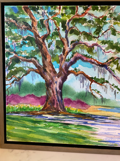 Airlie Oak with Azaleas