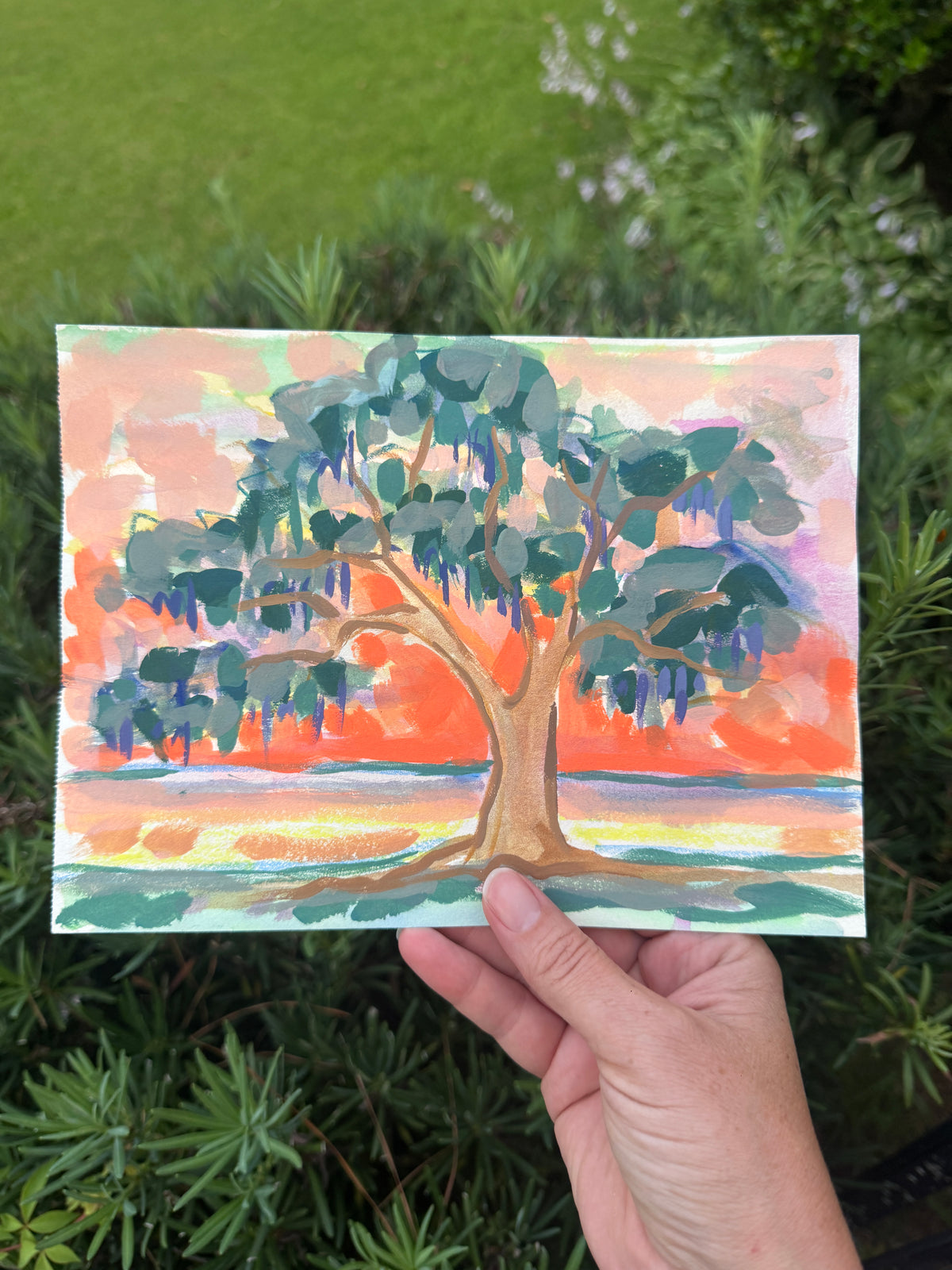 Finding the Oaks: In All Its Brilliance