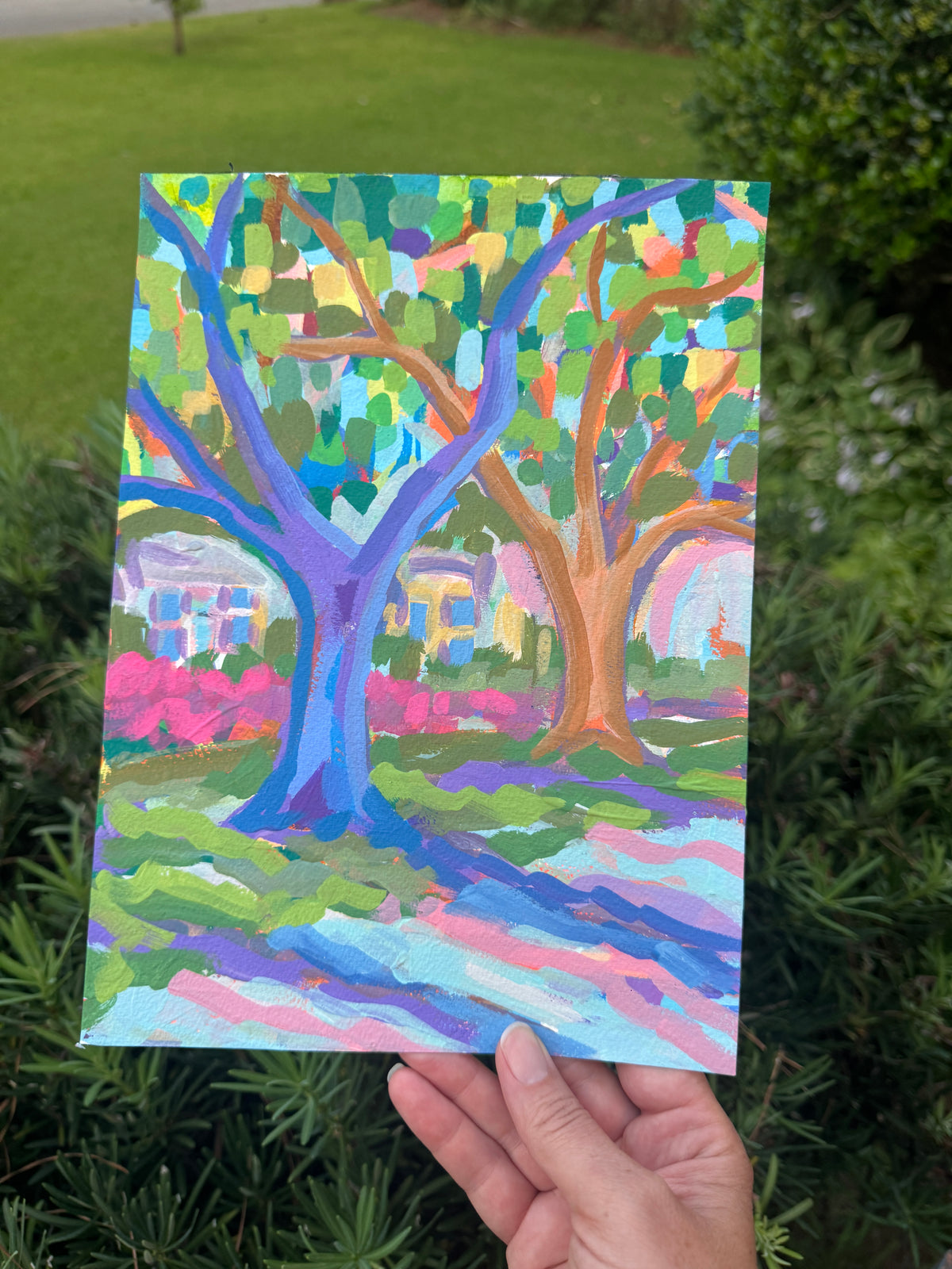 Finding the Oaks: Along My Drive