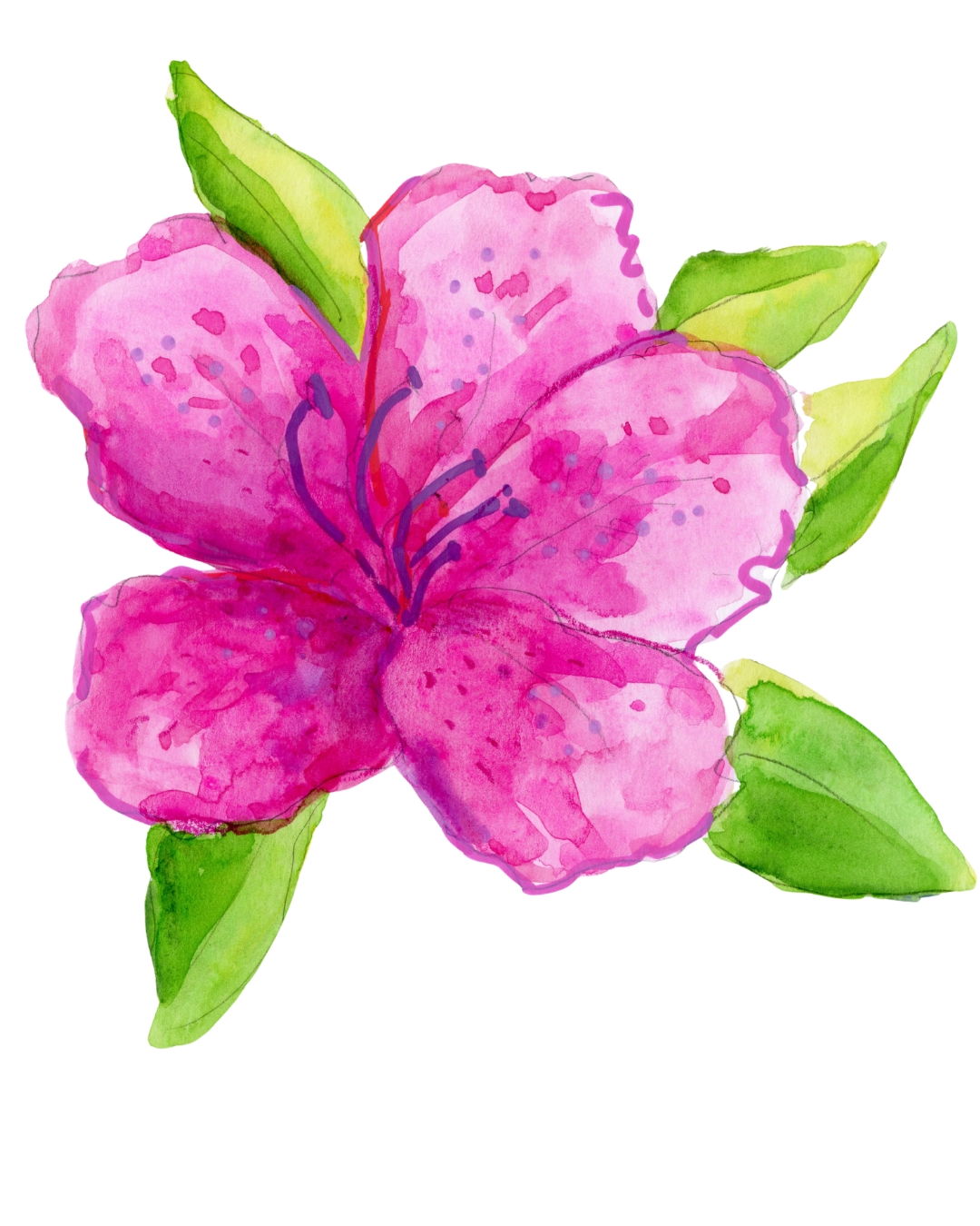 Azalea Acrylic Ornament - Pre-Order Now!