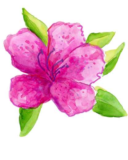 Azalea Acrylic Ornament - Pre-Order Now!