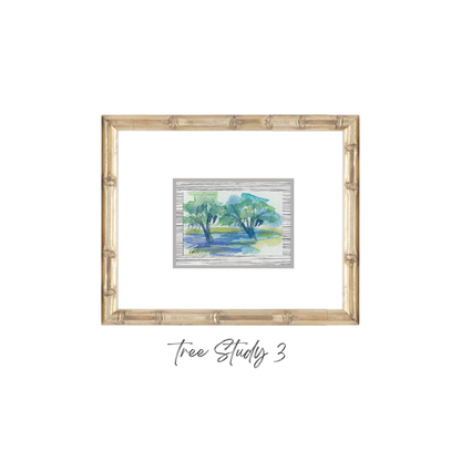 Elizabeth Sheats Original Framed Painting of her Tree Study Collection, Tree Study 3
