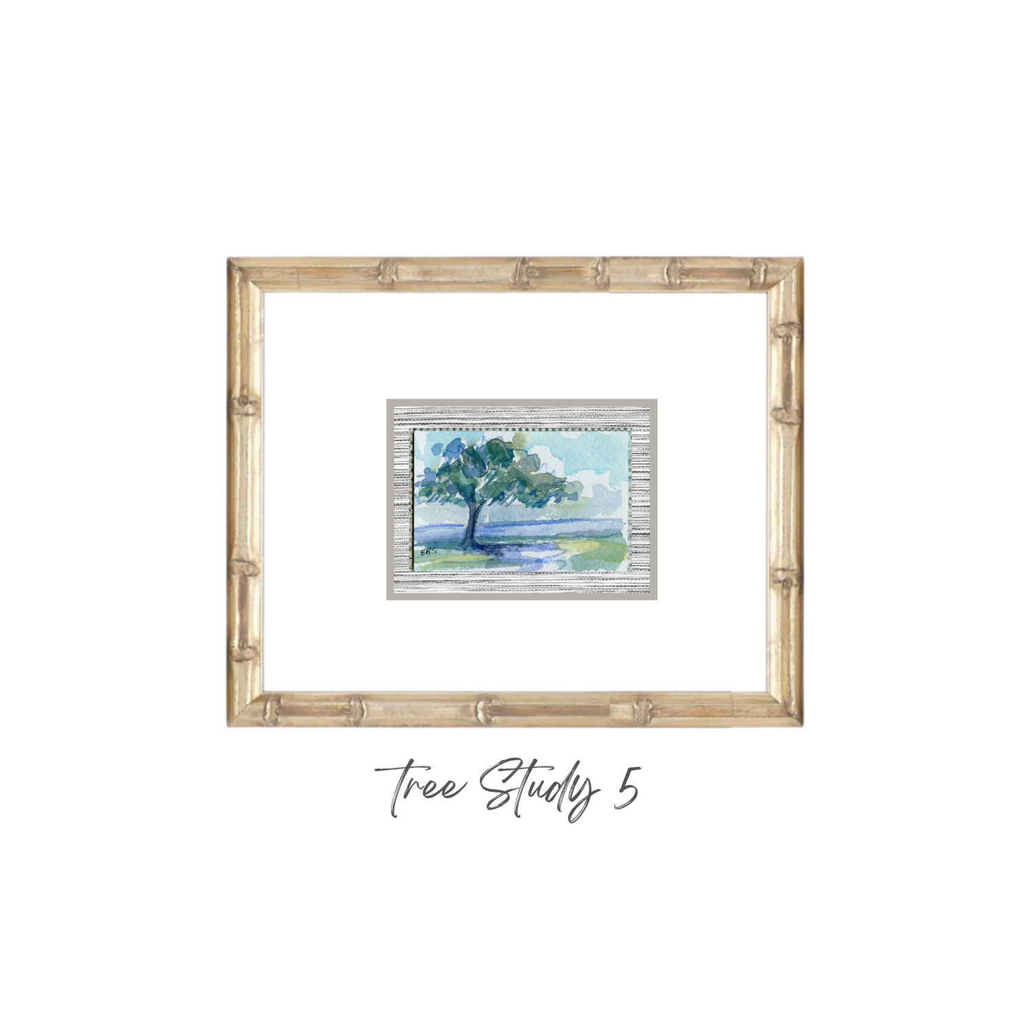 Elizabeth Sheats Original Framed Painting of her Tree Study Collection, Tree Study 5
