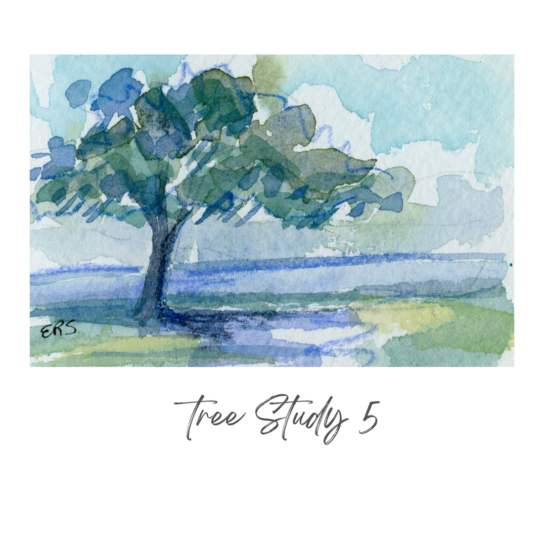 Elizabeth Sheats Original Painting of her Tree Study Collection, Tree Study 5