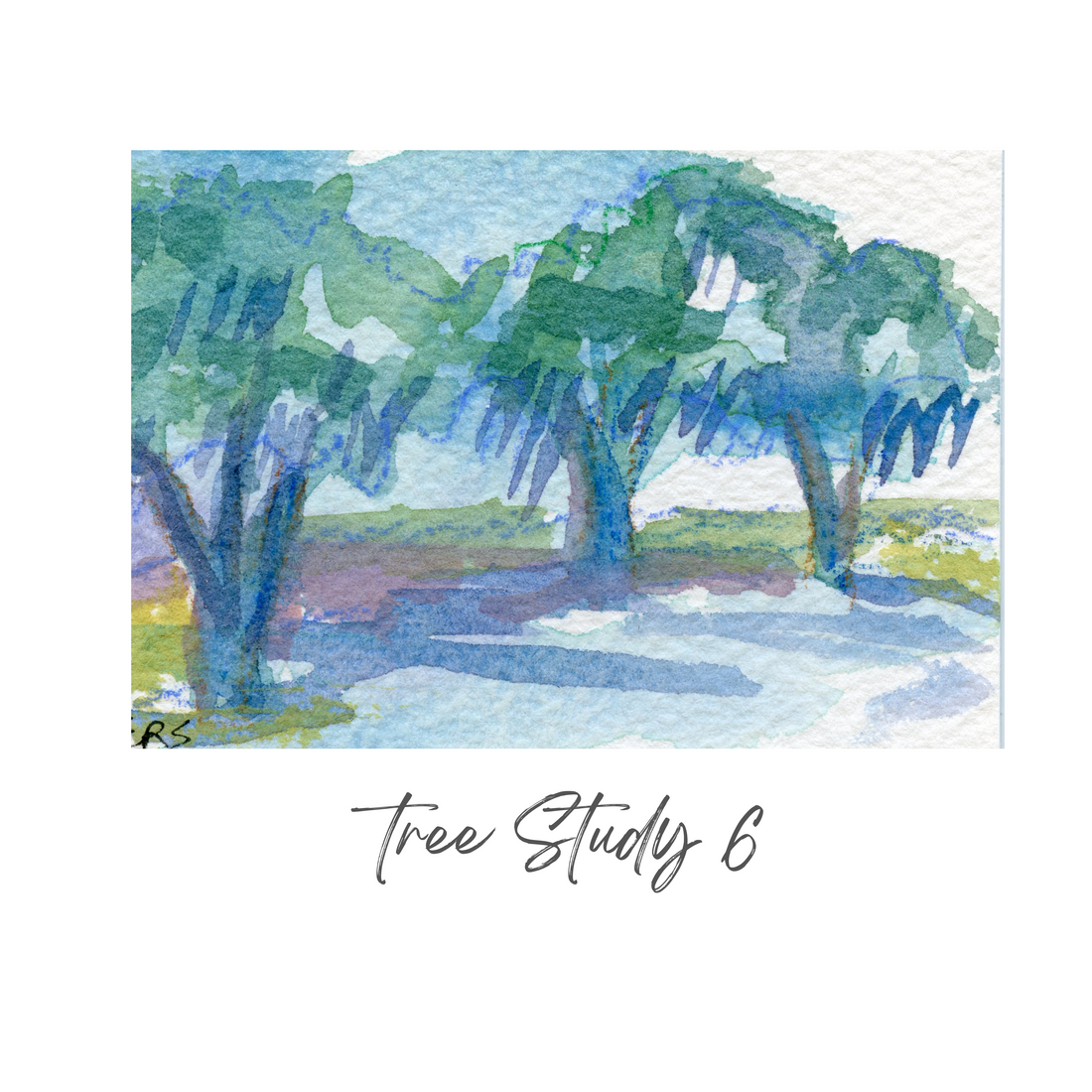 Elizabeth Sheats Original Painting of her Tree Study Collection, Tree Study 6