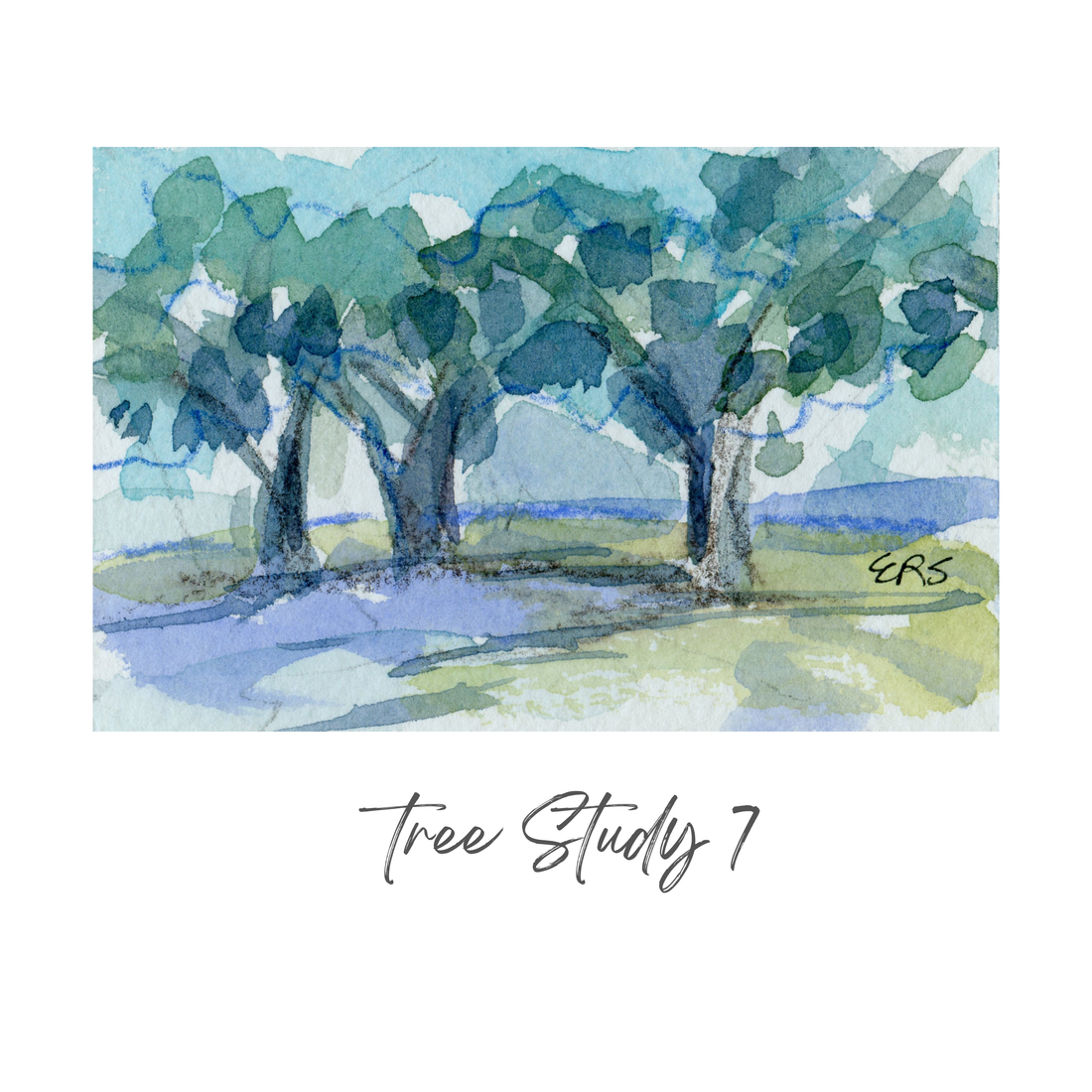 Elizabeth Sheats Original Painting of her Tree Study Collection, Tree Study 7