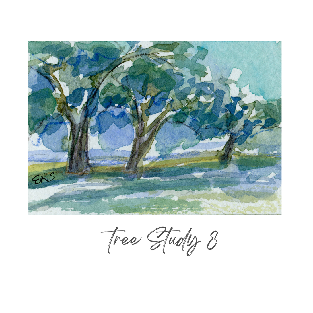 Elizabeth Sheats Original Painting of her Tree Study Collection, Tree Study 8